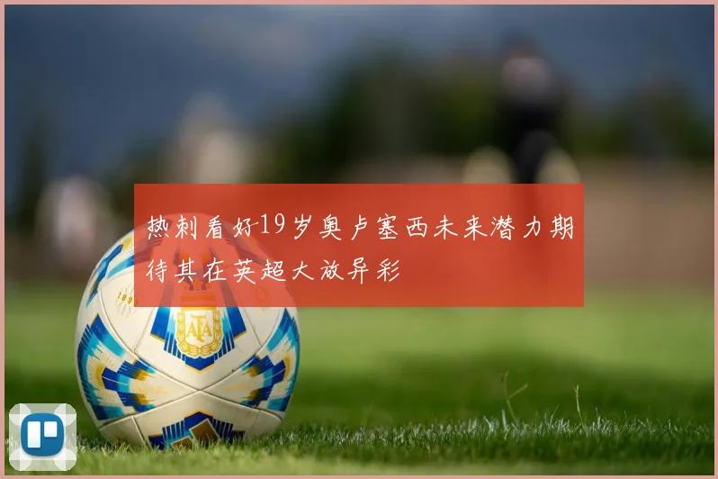热刺看好19岁奥卢塞西未来潜力期待其在英超大放异彩