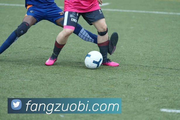 beat365中国官方网站app平台生态图